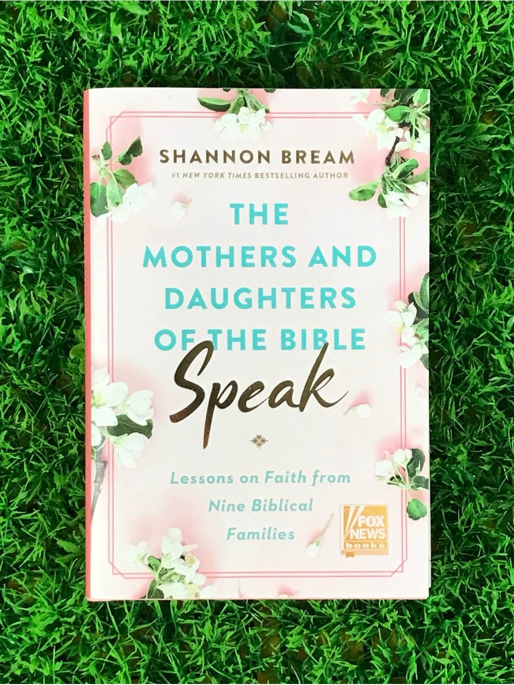 NWOT The Mothers and Daughters of the Bible Speak